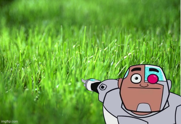 Dear furries, go touch grass | image tagged in anti furry,touch grass,grass | made w/ Imgflip meme maker