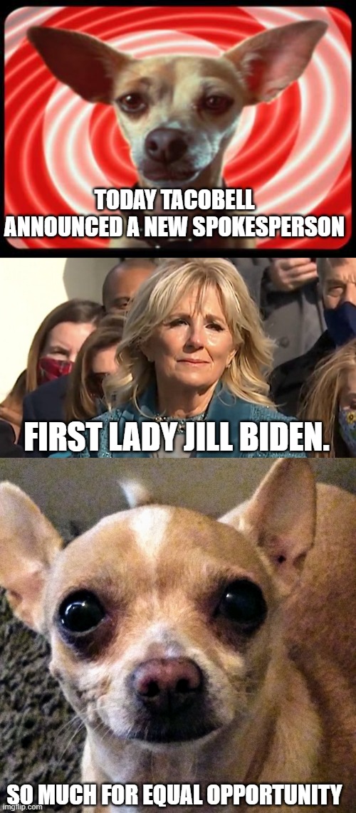 THIS JUST IN! | TODAY TACOBELL ANNOUNCED A NEW SPOKESPERSON; FIRST LADY JILL BIDEN. SO MUCH FOR EQUAL OPPORTUNITY | image tagged in taco bell dog,jill biden,tacobell | made w/ Imgflip meme maker