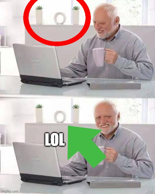 Hide the Pain Harold | LOL | image tagged in memes,hide the pain harold | made w/ Imgflip meme maker