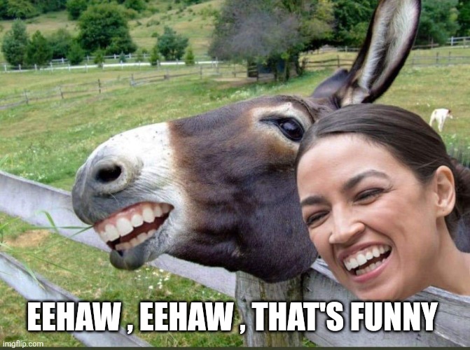 AOC Donkey | EEHAW , EEHAW , THAT'S FUNNY | image tagged in aoc donkey | made w/ Imgflip meme maker