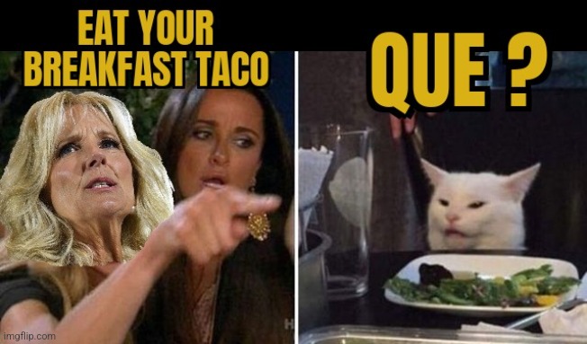 BLOWING UP THE LITTER BOX | image tagged in woman yelling at cat,tacos,jill biden,oblivious | made w/ Imgflip meme maker