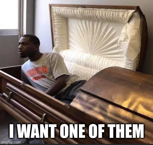 Coffin | I WANT ONE OF THEM | image tagged in coffin | made w/ Imgflip meme maker