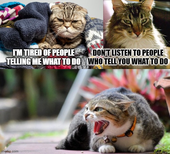 This #lolcat wonders why some people just won't listen | DON'T LISTEN TO PEOPLE
WHO TELL YOU WHAT TO DO; I'M TIRED OF PEOPLE
TELLING ME WHAT TO DO | image tagged in think about it,lolcat,advice,not listening | made w/ Imgflip meme maker
