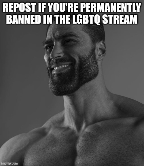 Giga Chad | REPOST IF YOU'RE PERMANENTLY BANNED IN THE LGBTQ STREAM | image tagged in giga chad | made w/ Imgflip meme maker