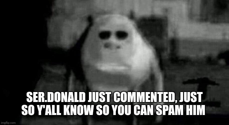 . | SER.DONALD JUST COMMENTED, JUST SO Y'ALL KNOW SO YOU CAN SPAM HIM | image tagged in e | made w/ Imgflip meme maker