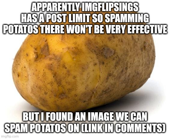 The person who made it is trying to not look at their notifications so their just going to have tons of potatos |  APPARENTLY IMGFLIPSINGS HAS A POST LIMIT SO SPAMMING POTATOS THERE WON'T BE VERY EFFECTIVE; BUT I FOUND AN IMAGE WE CAN SPAM POTATOS ON (LINK IN COMMENTS) | image tagged in i am a potato | made w/ Imgflip meme maker