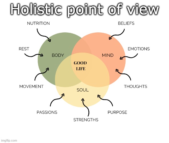 Holistic Point of View - Human Trinity | Holistic point of view | image tagged in holistic view of life,trinity,humanism,holism,yoga,meditation | made w/ Imgflip meme maker