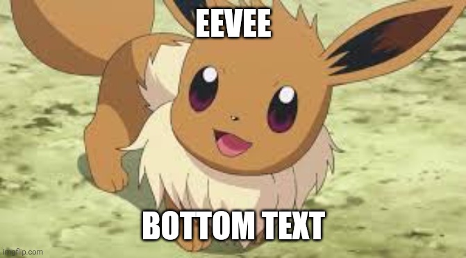 Insert clever title here | EEVEE; BOTTOM TEXT | image tagged in eevee | made w/ Imgflip meme maker