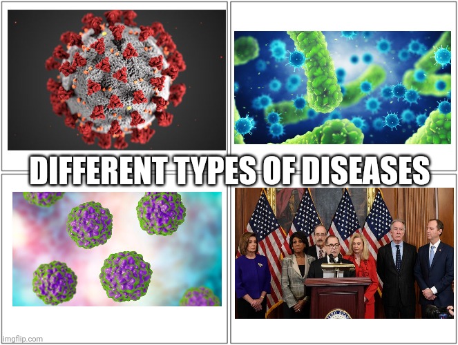 Different types of diseases | DIFFERENT TYPES OF DISEASES | image tagged in memes,blank comic panel 2x2,crying democrats,disease | made w/ Imgflip meme maker