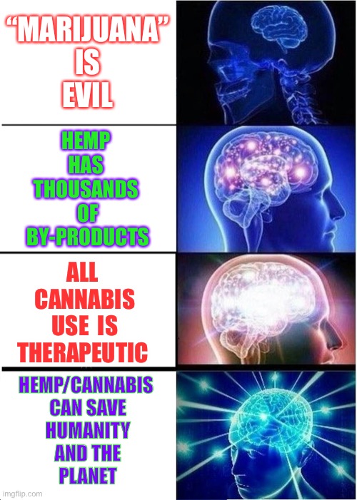 Free the Brain | “MARIJUANA”
IS
EVIL; HEMP 
HAS 
THOUSANDS 
OF
BY-PRODUCTS; ALL 
CANNABIS
USE  IS
THERAPEUTIC; HEMP/CANNABIS 
CAN SAVE
HUMANITY
AND THE
PLANET | image tagged in memes,expanding brain | made w/ Imgflip meme maker