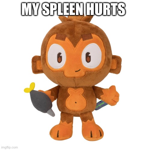 Pain | MY SPLEEN HURTS | image tagged in dartmonkey plush | made w/ Imgflip meme maker