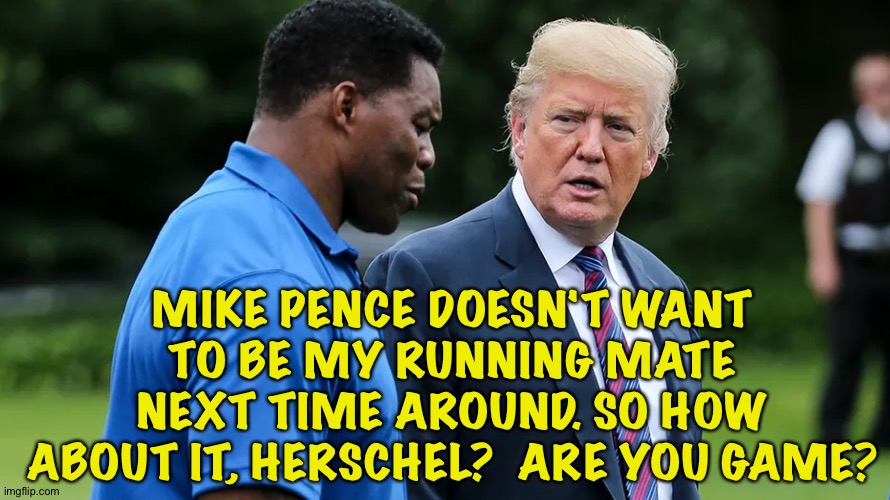 Donald going veep hunting | MIKE PENCE DOESN'T WANT TO BE MY RUNNING MATE NEXT TIME AROUND. SO HOW ABOUT IT, HERSCHEL?  ARE YOU GAME? | image tagged in herschel walker trump | made w/ Imgflip meme maker