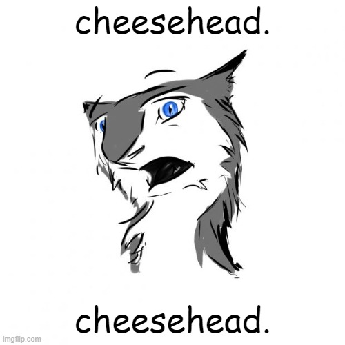 frenchman | cheesehead. cheesehead. | image tagged in shocked sergal | made w/ Imgflip meme maker