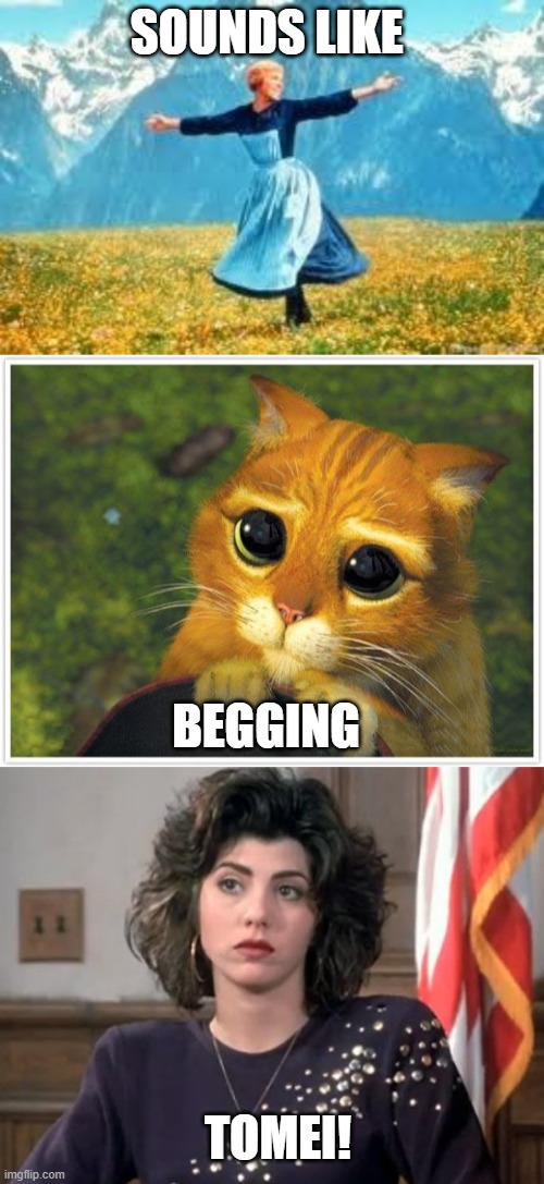 SOUNDS LIKE BEGGING TOMEI! | image tagged in memes,look at all these,shrek cat,marisa tomei my cousin vinny | made w/ Imgflip meme maker