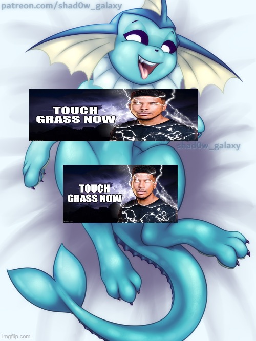 Vaporeon is most used for breeding | made w/ Imgflip meme maker