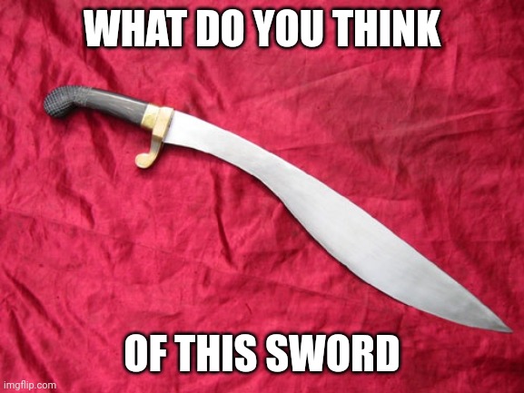 Makhaira | WHAT DO YOU THINK; OF THIS SWORD | image tagged in makhaira | made w/ Imgflip meme maker