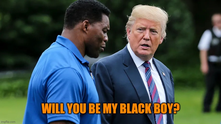 Herschel Walker Trump | WILL YOU BE MY BLACK BOY? | image tagged in herschel walker trump | made w/ Imgflip meme maker