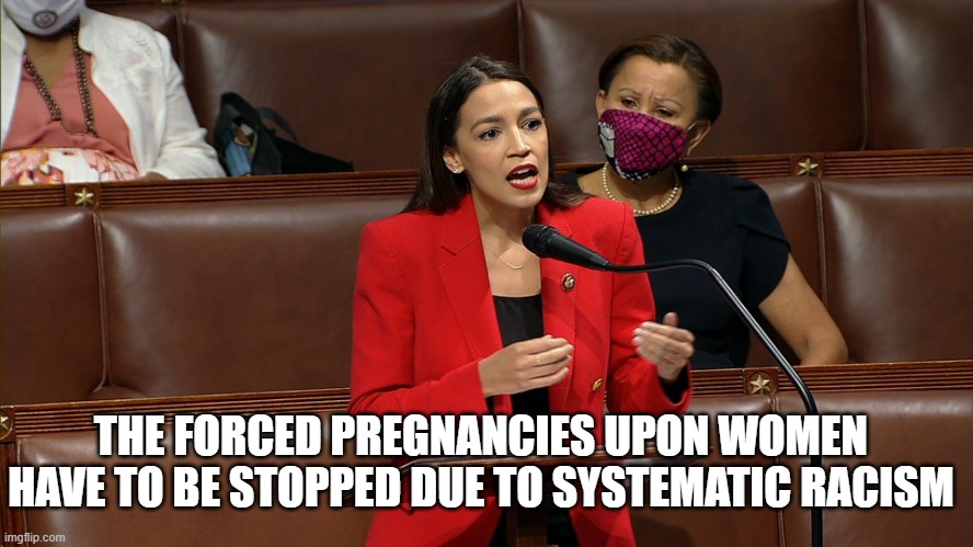 Aoc house floor | THE FORCED PREGNANCIES UPON WOMEN HAVE TO BE STOPPED DUE TO SYSTEMATIC RACISM | image tagged in aoc house floor | made w/ Imgflip meme maker
