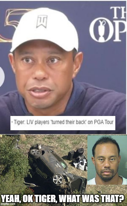 No Room to Talk |  YEAH, OK TIGER, WHAT WAS THAT? | image tagged in tiger woods | made w/ Imgflip meme maker