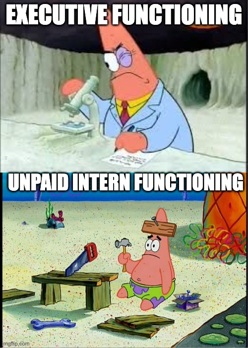 Executive Functioning | EXECUTIVE FUNCTIONING; UNPAID INTERN FUNCTIONING | image tagged in patrick smart dumb | made w/ Imgflip meme maker