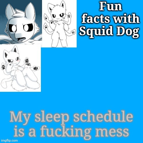 Hello btw | My sleep schedule is a fucking mess | image tagged in fun facts with squid dog | made w/ Imgflip meme maker