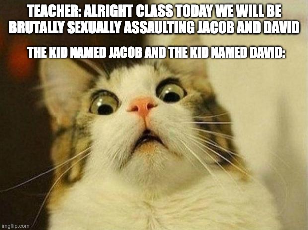 Scared Cat Meme | TEACHER: ALRIGHT CLASS TODAY WE WILL BE BRUTALLY SEXUALLY ASSAULTING JACOB AND DAVID THE KID NAMED JACOB AND THE KID NAMED DAVID: | image tagged in memes,scared cat | made w/ Imgflip meme maker