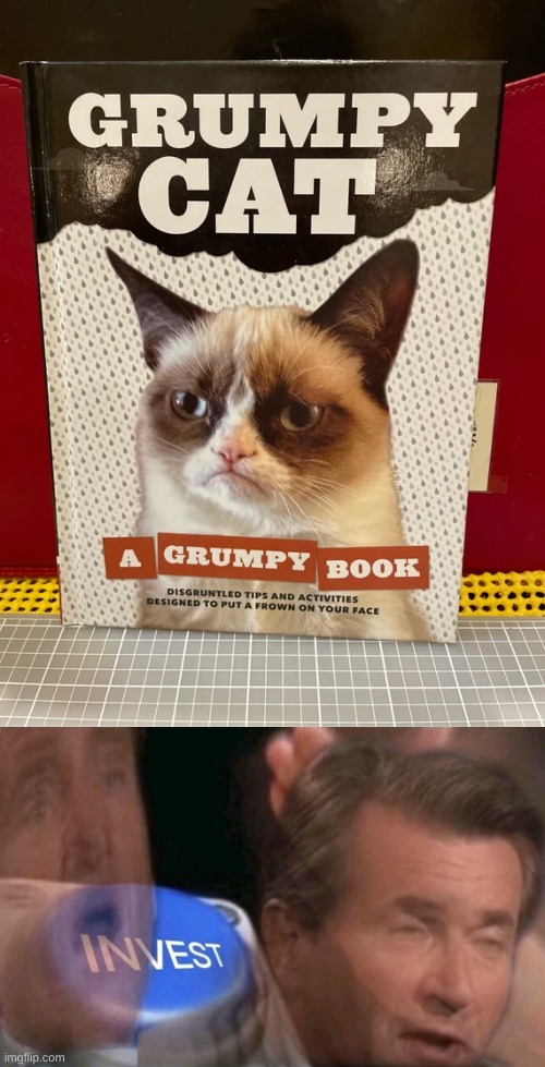 A GRUMPY CAT BOOK! (My brother actually has one) | image tagged in invest,memes,funny,grumpy cat | made w/ Imgflip meme maker