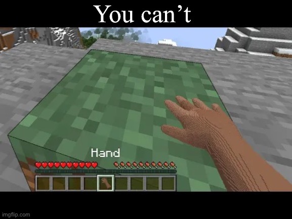 Hand touching Minecraft grass block | You can’t | image tagged in hand touching minecraft grass block | made w/ Imgflip meme maker