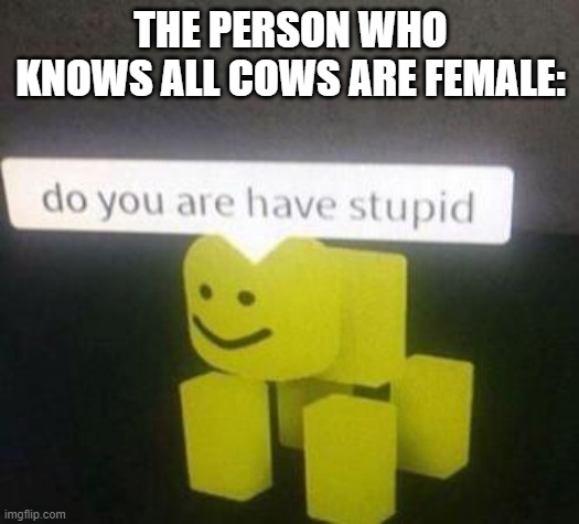 THE PERSON WHO KNOWS ALL COWS ARE FEMALE: | image tagged in do you have stupid | made w/ Imgflip meme maker