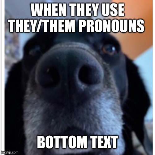 Me the when | WHEN THEY USE THEY/THEM PRONOUNS; BOTTOM TEXT | image tagged in funny memes | made w/ Imgflip meme maker