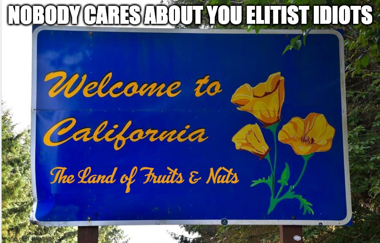 CALIFORNIA |  NOBODY CARES ABOUT YOU ELITIST IDIOTS | made w/ Imgflip meme maker