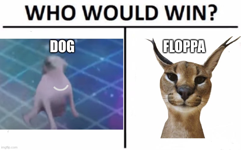 DOG; FLOPPA | made w/ Imgflip meme maker
