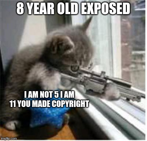 cats with guns | 8 YEAR OLD EXPOSED I AM NOT 5 I AM 11 YOU MADE COPYRIGHT | image tagged in cats with guns | made w/ Imgflip meme maker