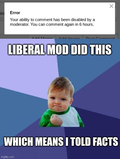 YAAAASSSSS | LIBERAL MOD DID THIS; WHICH MEANS I TOLD FACTS | image tagged in memes,success kid | made w/ Imgflip meme maker