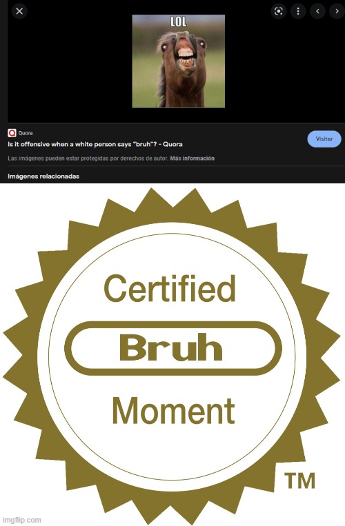 image tagged in certified bruh moment | made w/ Imgflip meme maker