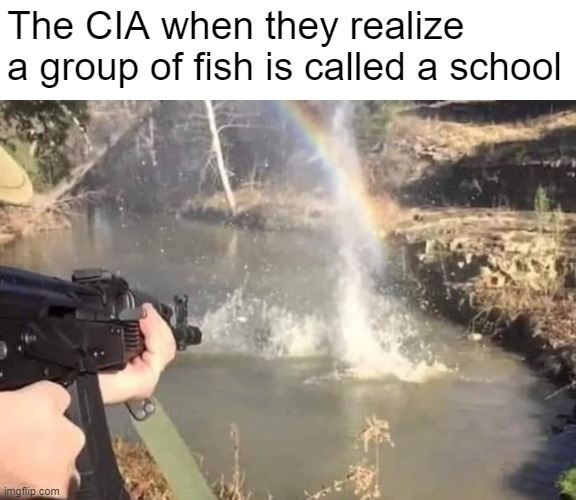 ReGuLaR cItIzEnS sHoUlD nOt HaVe GuNz! | The CIA when they realize a group of fish is called a school | made w/ Imgflip meme maker