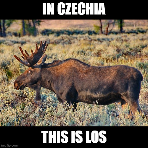 IN CZECHIA; THIS IS LOS | made w/ Imgflip meme maker