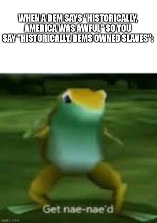 proved the dems wrong again | WHEN A DEM SAYS "HISTORICALLY, AMERICA WAS AWFUL" SO YOU SAY "HISTORICALLY, DEMS OWNED SLAVES": | image tagged in get nae naed,america,democrats | made w/ Imgflip meme maker