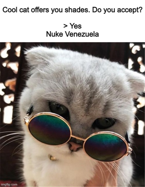 Do you accept them? |  Cool cat offers you shades. Do you accept?
 
> Yes

Nuke Venezuela | image tagged in cool cat,sunglasses,meme | made w/ Imgflip meme maker