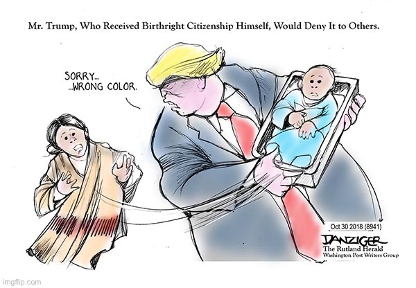 Trump birthright citizenship | image tagged in trump birthright citizenship | made w/ Imgflip meme maker