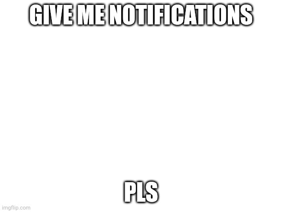 Blank White Template | GIVE ME NOTIFICATIONS; PLS | image tagged in blank white template | made w/ Imgflip meme maker