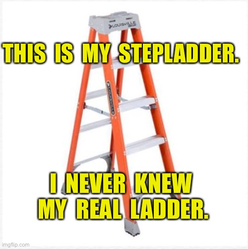 My stepladder | THIS  IS  MY  STEPLADDER. I  NEVER  KNEW  MY  REAL  LADDER. | image tagged in stepladder,my stepladder,i never knew,real ladder,dark humor | made w/ Imgflip meme maker