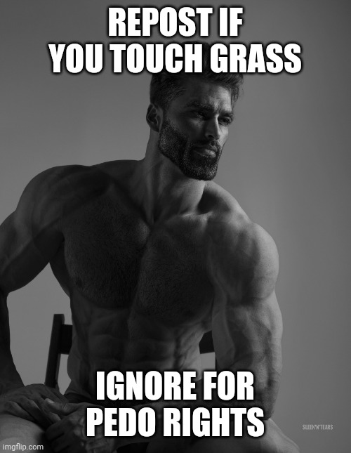 (Mod note: Didn't ignore) | REPOST IF YOU TOUCH GRASS; IGNORE FOR PEDO RIGHTS | image tagged in giga chad | made w/ Imgflip meme maker
