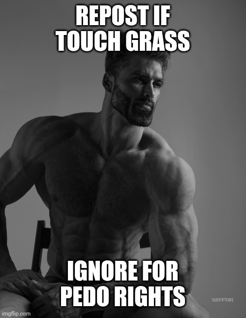 Giga Chad | REPOST IF TOUCH GRASS; IGNORE FOR PEDO RIGHTS | image tagged in giga chad | made w/ Imgflip meme maker