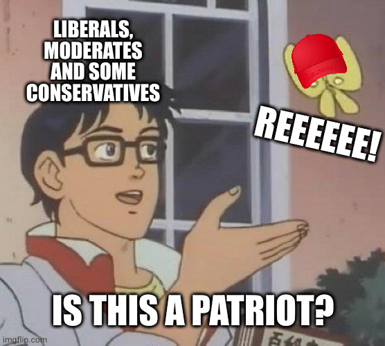 In the context of the country as it exists ideologically, historically and presently, no it is not | LIBERALS, MODERATES AND SOME CONSERVATIVES; REEEEEE! IS THIS A PATRIOT? | image tagged in memes,is this a pigeon | made w/ Imgflip meme maker
