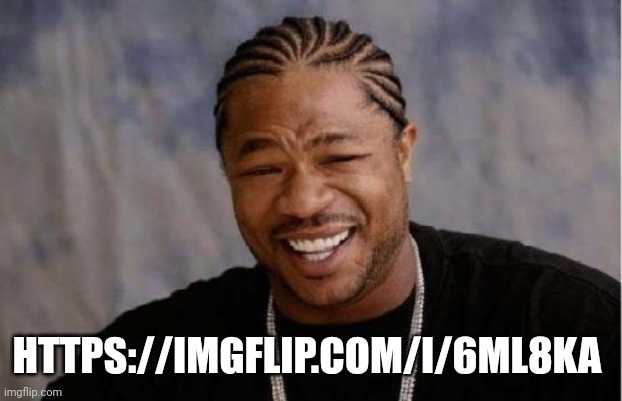 Yo Dawg Heard You | HTTPS://IMGFLIP.COM/I/6ML8KA | image tagged in memes,yo dawg heard you | made w/ Imgflip meme maker