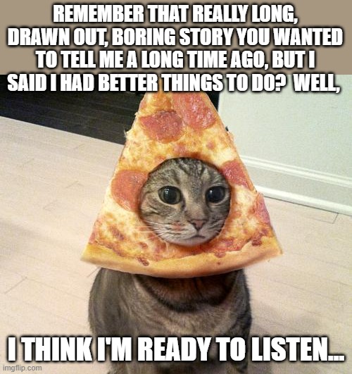 Let's Talk About Other Things | REMEMBER THAT REALLY LONG, DRAWN OUT, BORING STORY YOU WANTED TO TELL ME A LONG TIME AGO, BUT I SAID I HAD BETTER THINGS TO DO?  WELL, I THINK I'M READY TO LISTEN... | image tagged in pizza cat,cats,funny,funny cats,memes,humor | made w/ Imgflip meme maker