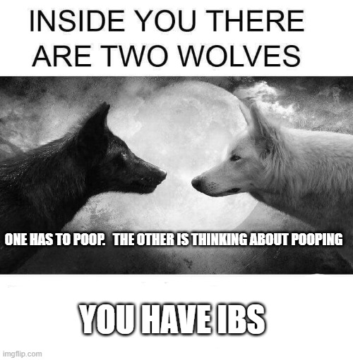 IBS | ONE HAS TO POOP.   THE OTHER IS THINKING ABOUT POOPING; YOU HAVE IBS | image tagged in inside you there are two wolves | made w/ Imgflip meme maker