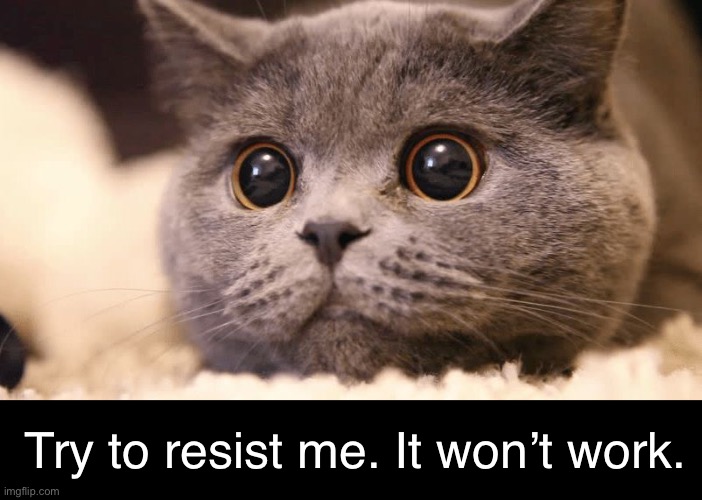 Try to resist me. It won’t work. | made w/ Imgflip meme maker