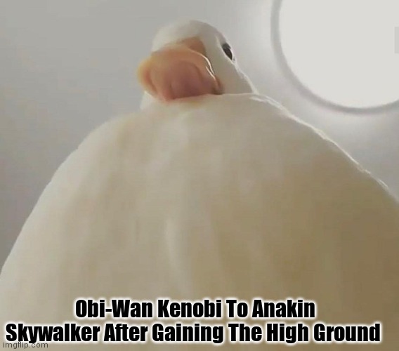 *Quacks To "The Duel Of The Fates"* | Obi-Wan Kenobi To Anakin Skywalker After Gaining The High Ground | image tagged in pathetic duck 1,star wars,anakin and obi wan,it's over anakin i have the high ground,simothefinlandized | made w/ Imgflip meme maker